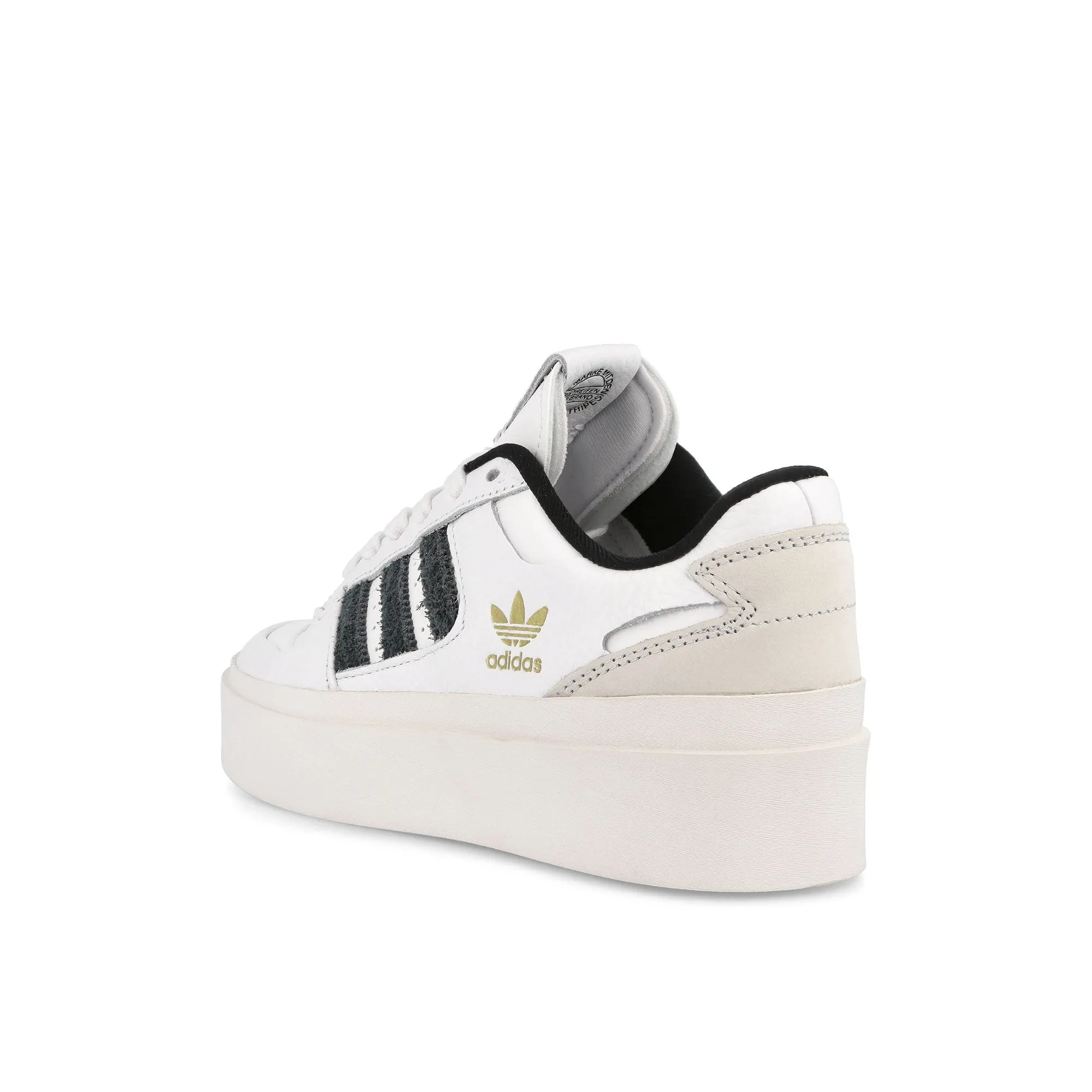 Forum Bonega W