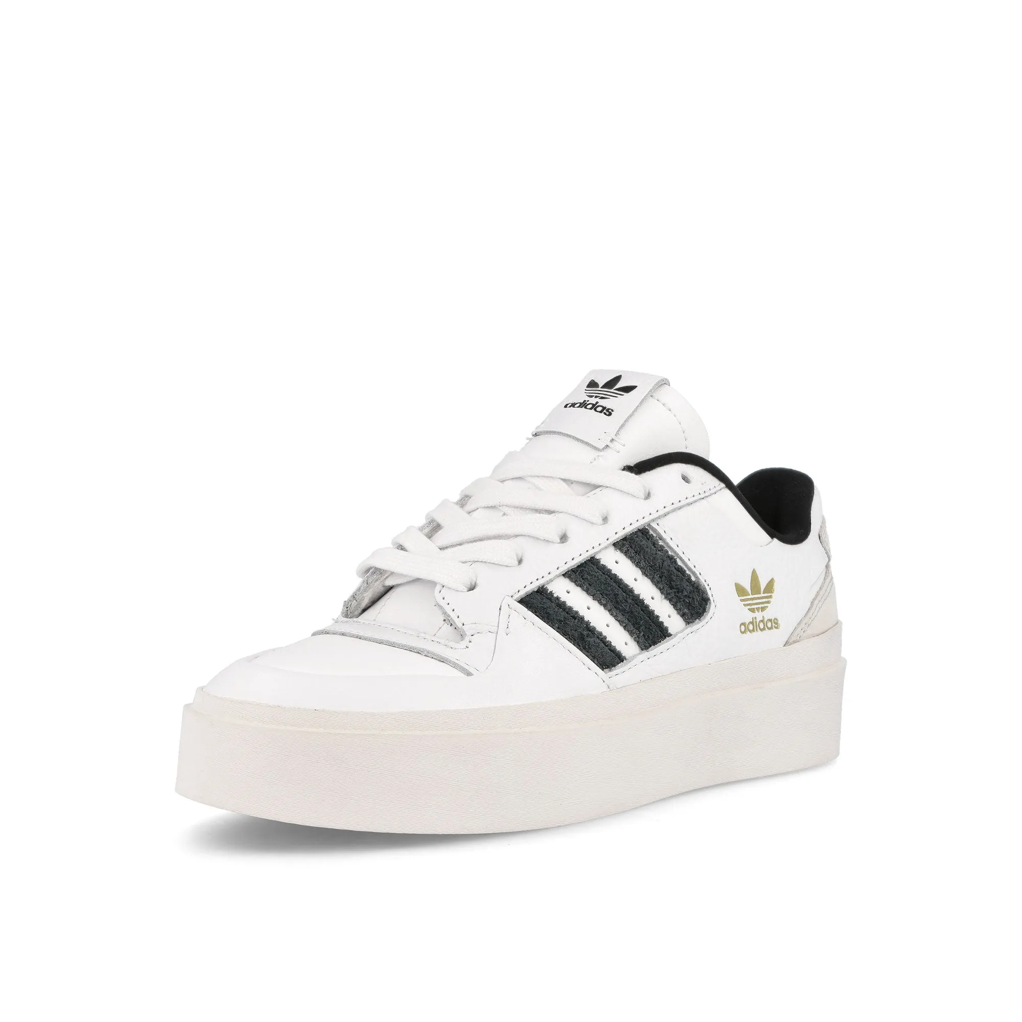 Forum Bonega W