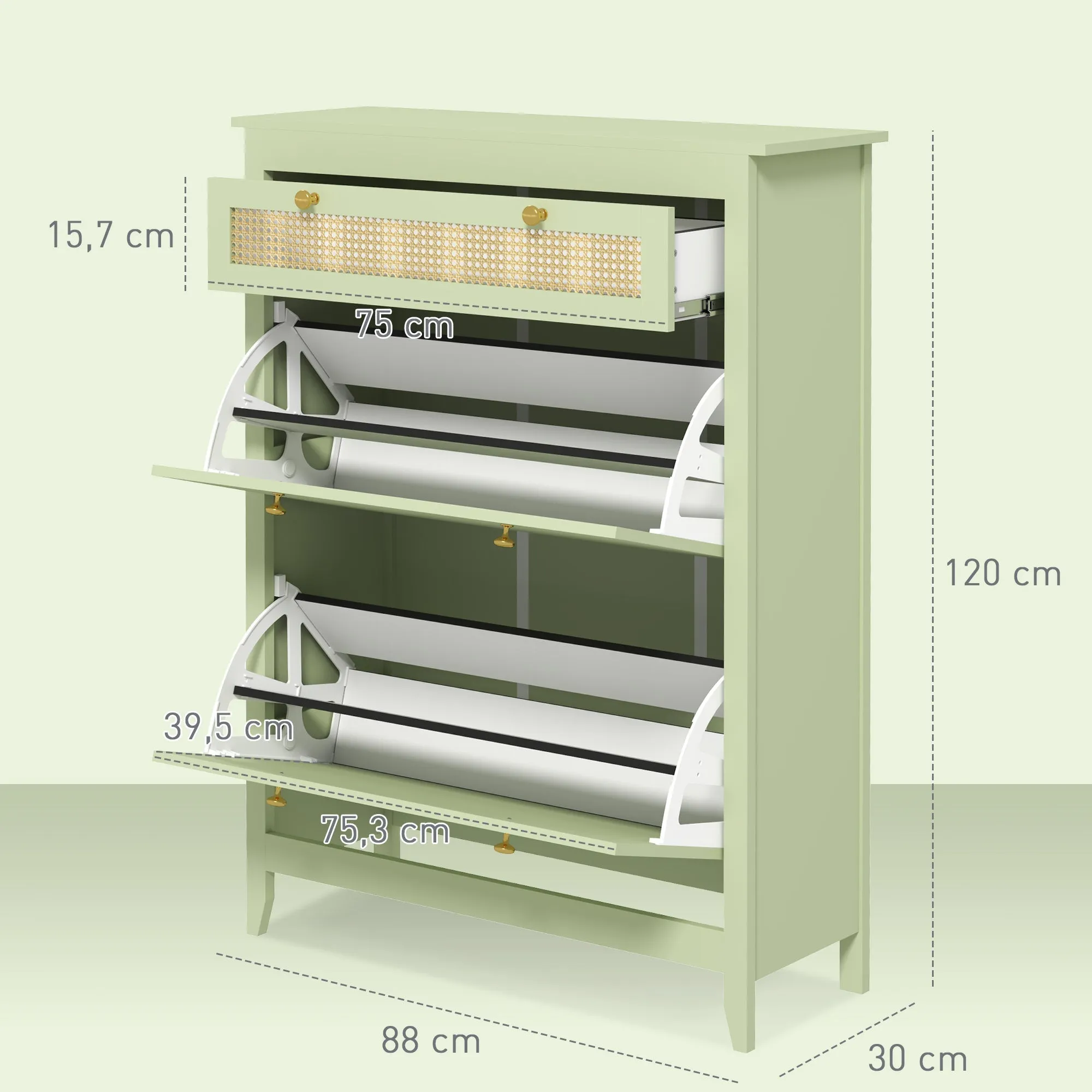 Rootz Shoe Cabinet - Shoe Chest - Shoe Storage - Organizes 12 Pairs - 88 x 30 x 120 cm - Green