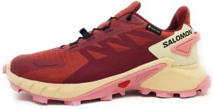 Salomon Women's Supercross 4 GTX W Walking Shoes