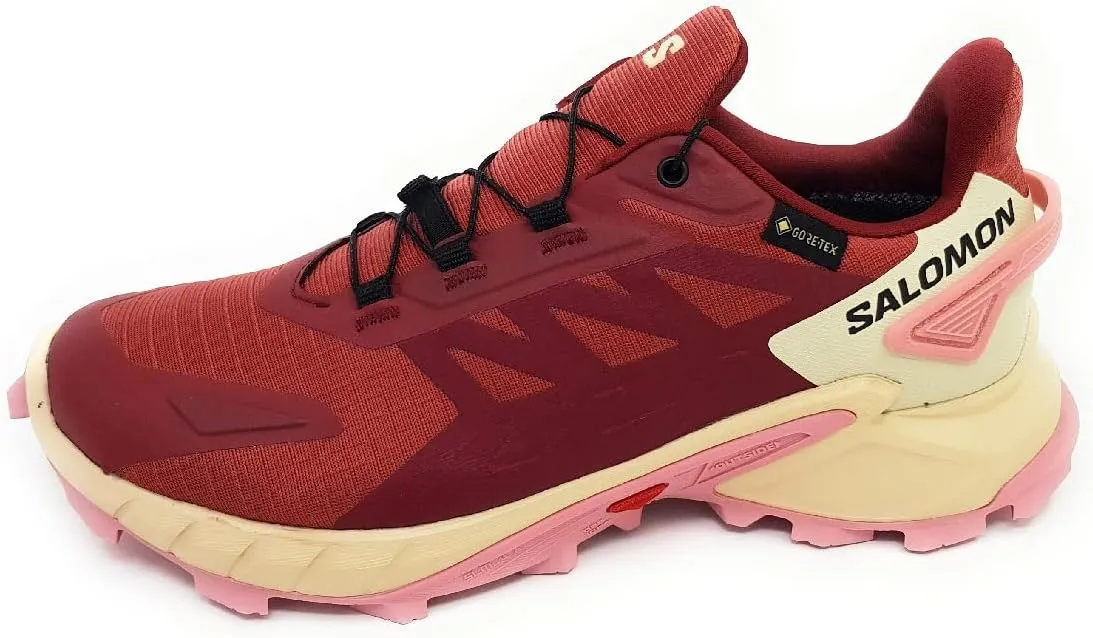 Salomon Women's Supercross 4 GTX W Walking Shoes